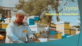  Presentation with frame of healthy spicy food - Presentation theme having beekeeper-checking-honey background and a tawny brown colored foreground