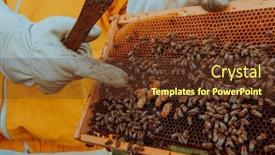  Presentation with honeycomb - Presentation theme featuring beekeeper-checks-the-queens background and a tawny brown colored foreground