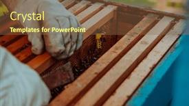  Presentation with honeycomb - Presentation theme having beekeeper-checks-the-queens background and a tawny brown colored foreground