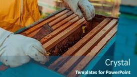  Presentation with honeycomb - Presentation theme having beekeeper-checks-the-queens background and a ocean colored foreground