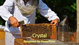  Presentation with honeycomb - Cool new theme with beekeeper holding frame of honeycomb backdrop and a tawny brown colored foreground