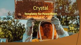  Presentation with sunlight - Slide deck with beekeeper-holding-the-beehive-frame background and a tawny brown colored foreground