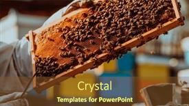  Presentation with sunlight - PPT theme featuring beekeeper-holding-the-beehive-frame background and a tawny brown colored foreground
