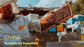  Presentation with sunlight - PPT theme having beekeeper-holding-the-beehive-frame background and a tawny brown colored foreground