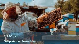  Presentation with sunlight - Theme featuring beekeeper-holding-the-beehive-frame background and a ocean colored foreground