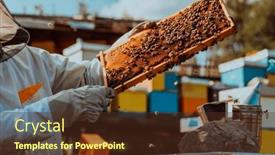  Presentation with frame - PPT layouts consisting of beekeeper-holding-the-beehive-frame background and a tawny brown colored foreground