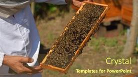  Presentation with frame - Amazing slide deck having beekeeper-holding-wooden-frame-full backdrop and a tawny brown colored foreground