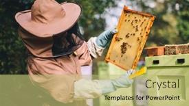  Presentation with honeycomb - Audience pleasing slides consisting of beekeeper-looking-at-honeycomb-brood backdrop and a yellow colored foreground