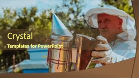  Presentation with calm - Slide set consisting of beekeeper-using-smoke-to-calm background and a tawny brown colored foreground