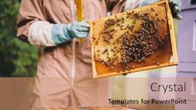  Presentation with honeycomb - PPT theme with beekeeper-with-honeycomb-brood-frame background and a coral colored foreground