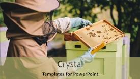  Presentation with honeycomb - Slide deck having beekeeper-with-honeycomb-brood-frame background and a yellow colored foreground