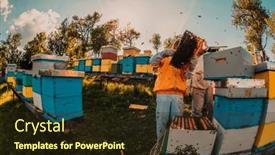  Presentation with honey - Slides consisting of beekeepers-check-the-honey background and a wine colored foreground