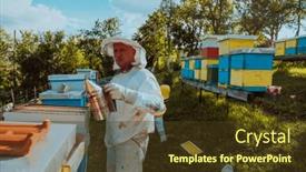  Presentation with honey bee hive - PPT theme with beekeepers-check-the-honey background and a tawny brown colored foreground