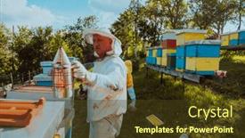  Presentation with honey bee hive - Theme enhanced with beekeepers-check-the-honey background and a tawny brown colored foreground