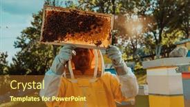  Presentation with honey bee hive - Slide set featuring beekeepers-check-the-honey background and a tawny brown colored foreground
