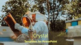  Presentation with honey - 