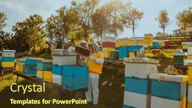  Presentation with honey - 