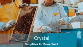  Presentation with honey - 