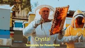  Presentation with honey - 