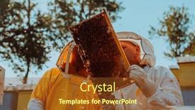  Presentation with honey - 