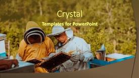  Presentation with frame of healthy spicy food - Slides consisting of beekeepers-checking-honey background and a tawny brown colored foreground