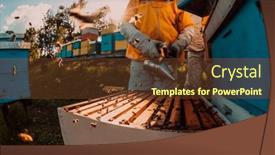  Presentation with frame of healthy spicy food - Slide set having beekeepers-checking-honey background and a tawny brown colored foreground