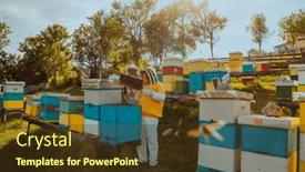  Presentation with frame of healthy spicy food - PPT layouts enhanced with beekeepers-checking-honey background and a tawny brown colored foreground