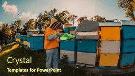  Presentation with frame of healthy spicy food - PPT theme with beekeepers-checking-honey background and a wine colored foreground