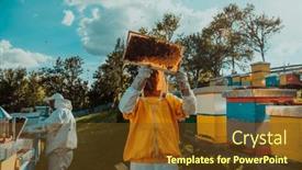  Presentation with frame of healthy spicy food - Presentation theme featuring beekeepers-checking-honey background and a tawny brown colored foreground