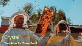  Presentation with frame of healthy spicy food - Presentation theme consisting of beekeepers-checking-honey background and a tawny brown colored foreground