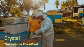  Presentation with frame of healthy spicy food - Slide deck having beekeepers-checking-honey and a tawny brown colored foreground