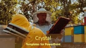  Presentation with healthy food - Presentation with beekeepers-checking-honey background and a tawny brown colored foreground