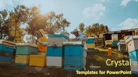  Presentation with honey - 