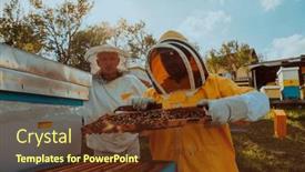  Presentation with honey - 