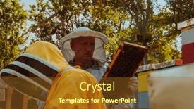  Presentation with frame of healthy spicy food - PPT layouts consisting of beekeepers-checking-honey background and a tawny brown colored foreground