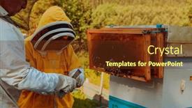  Presentation with frame of healthy spicy food - Presentation design consisting of beekeepers-checking-honey background and a  colored foreground