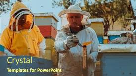  Presentation with frame of healthy spicy food - Slide set featuring beekeepers-checking-honey background and a tawny brown colored foreground