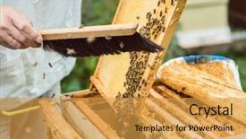  Presentation with honeycomb - Slide deck enhanced with beekeeping - beekeeper brushing bees from honeycomb background and a yellow colored foreground