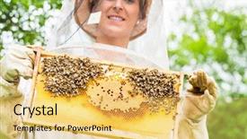  Presentation with frame - Beautiful PPT theme featuring beekeeping - beekeeper controlling beehive and comb backdrop and a yellow colored foreground