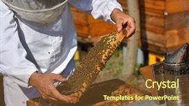  Presentation with honeycomb - Theme having beekeeping - beekeeper holding frame of honeycomb background and a tawny brown colored foreground