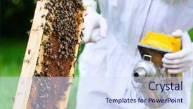  Presentation with frame - Slides enhanced with beekeeping - beekeeper with smoker controlling beehive background and a sky blue colored foreground