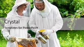  Presentation with frame - Audience pleasing presentation consisting of beekeeping - beekeeper with smoker controlling beehive backdrop and a light gray colored foreground