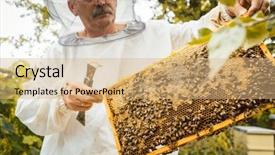  Presentation with frames of a bee hive - PPT layouts having beekeeping - beekeeper working on bee colony background and a coral colored foreground
