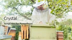  Presentation with working - PPT theme enhanced with beekeeping - beekeeper working with bees background and a soft green colored foreground