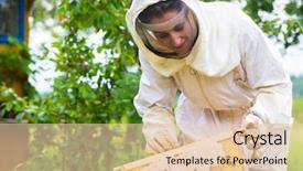  Presentation with female - Slides with beekeeping - female beekeeper controlling beehive background and a lemonade colored foreground