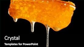  Presentation with honeycomb - Audience pleasing PPT layouts consisting of beekeeping - honeycomb on black background backdrop and a black colored foreground