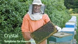  Presentation with honey bee honeycomb - Presentation enhanced with beekeeping - portrait of a smiling male background and a tawny brown colored foreground