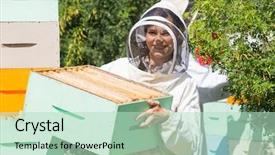  Presentation with honeycomb - Amazing presentation design having beekeeping - portrait of beautiful beekeeper carrying backdrop and a soft green colored foreground