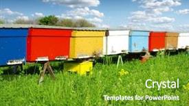  Presentation with ecology - Amazing slide deck having bees ecology - beekeeping backdrop and a tawny brown colored foreground