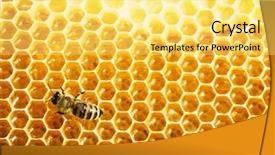  Presentation with cells - Audience pleasing PPT layouts consisting of climate change word cloud concept backdrop and a sky blue colored foreground.